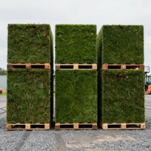 1,350 Sq Ft Sod Order